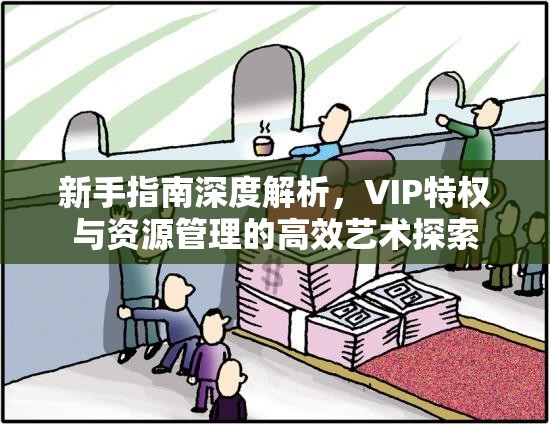 新手指南深度解析，VIP特权与资源管理的高效艺术探索