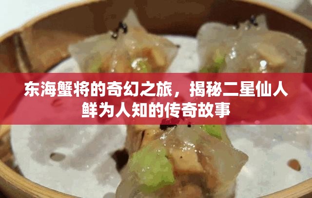 东海蟹将的奇幻之旅，揭秘二星仙人鲜为人知的传奇故事