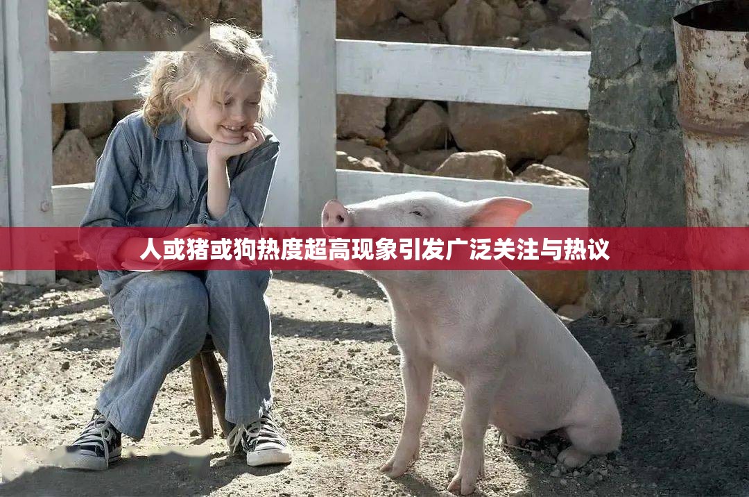 人或猪或狗热度超高现象引发广泛关注与热议