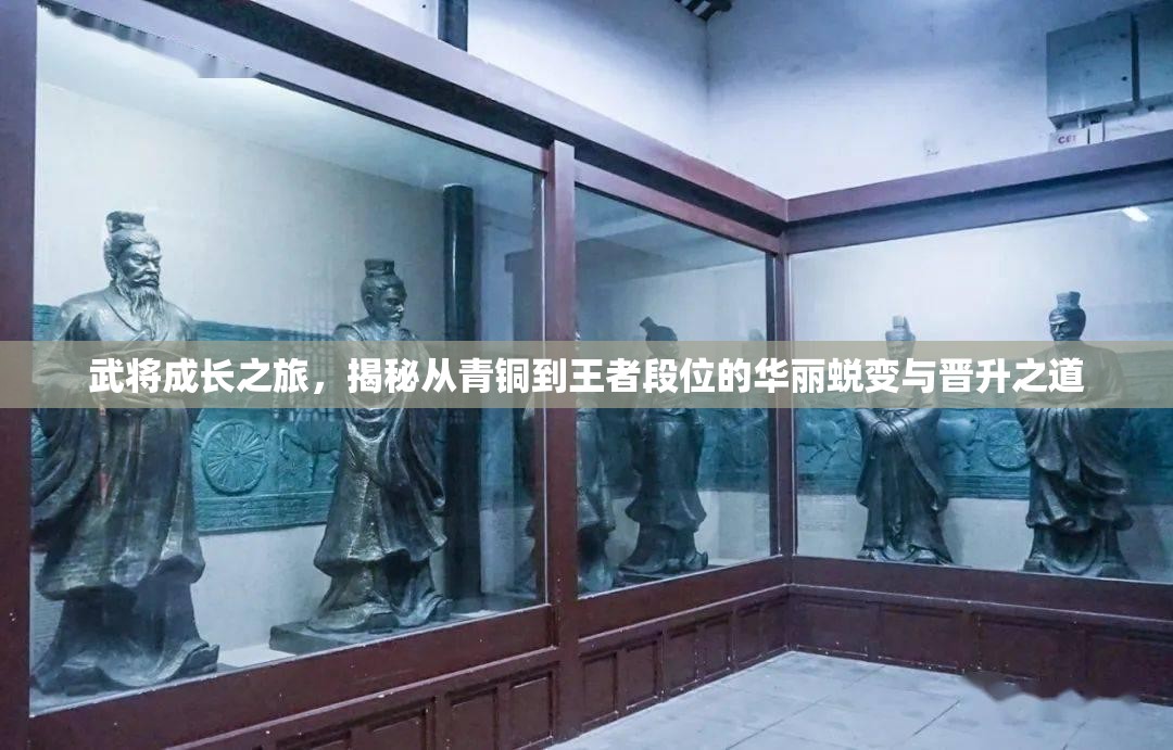 武将成长之旅，揭秘从青铜到王者段位的华丽蜕变与晋升之道