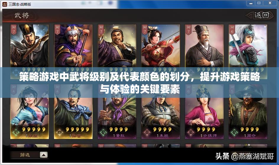 策略游戏中武将级别及代表颜色的划分，提升游戏策略与体验的关键要素