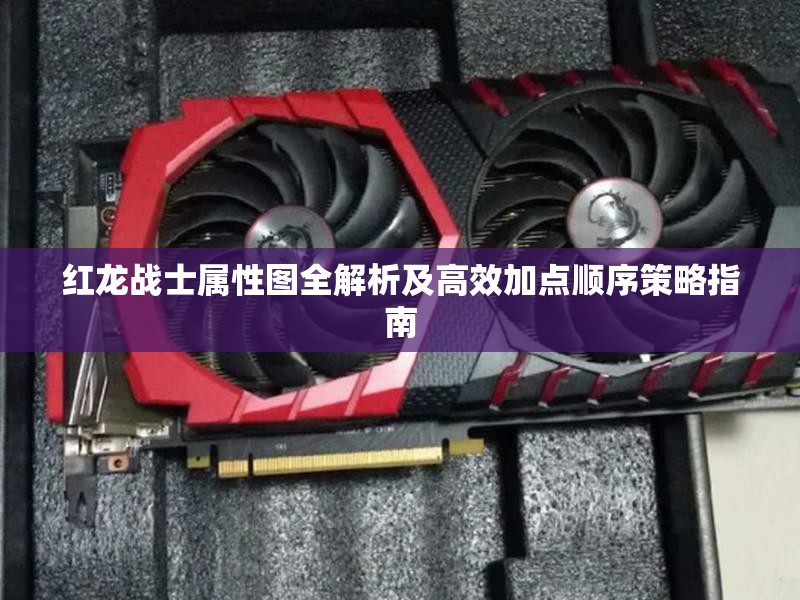 红龙战士属性图全解析及高效加点顺序策略指南