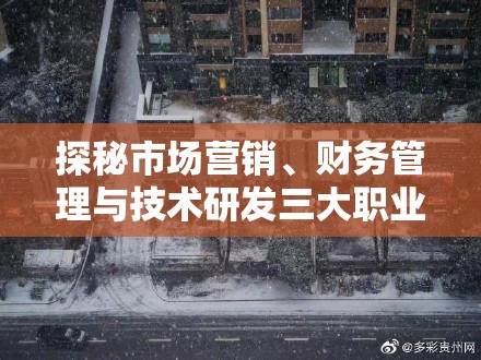 探秘市场营销、财务管理与技术研发三大职业，解锁职场多彩成功画卷