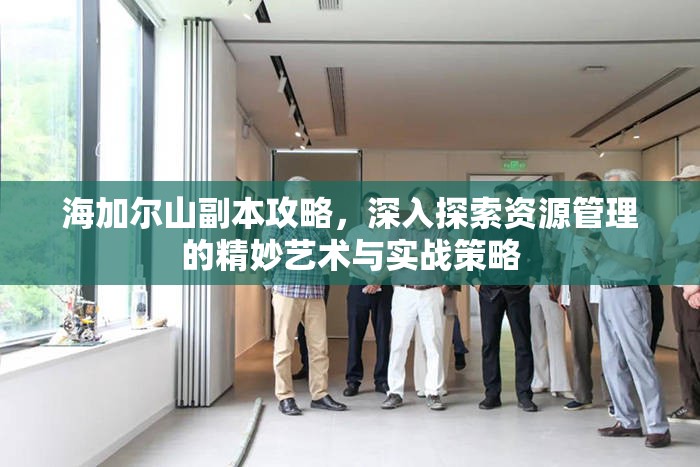 海加尔山副本攻略，深入探索资源管理的精妙艺术与实战策略