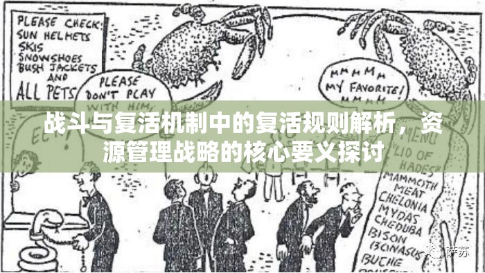 战斗与复活机制中的复活规则解析，资源管理战略的核心要义探讨
