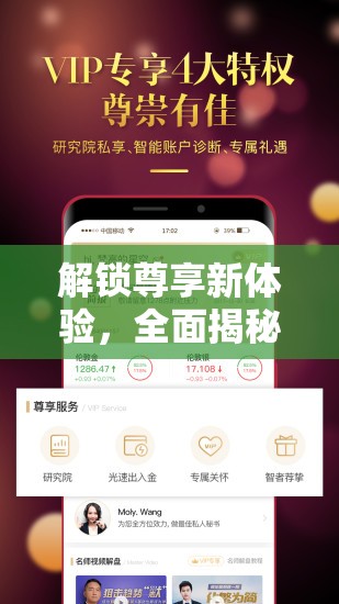 解锁尊享新体验，全面揭秘VIP特权，享受前所未有的专属礼遇