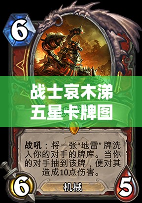 战士哀木涕五星卡牌图鉴深度解析，掌握资源管理的艺术与策略