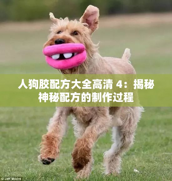 人狗胶配方大全高清 4：揭秘神秘配方的制作过程
