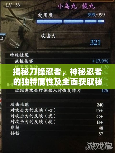 揭秘刀锋忍者，神秘忍者的独特属性及全面获取秘籍指南