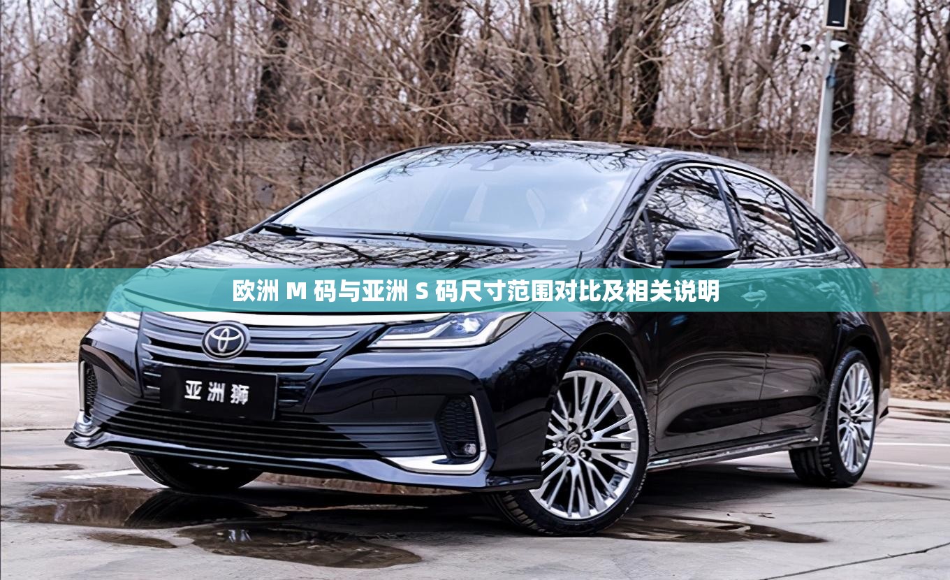 欧洲 M 码与亚洲 S 码尺寸范围对比及相关说明