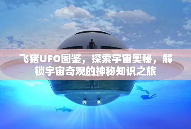 飞猪UFO图鉴，探索宇宙奥秘，解锁宇宙奇观的神秘知识之旅