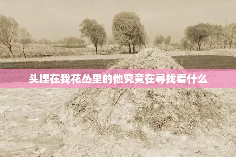 头埋在我花丛里的他究竟在寻找着什么