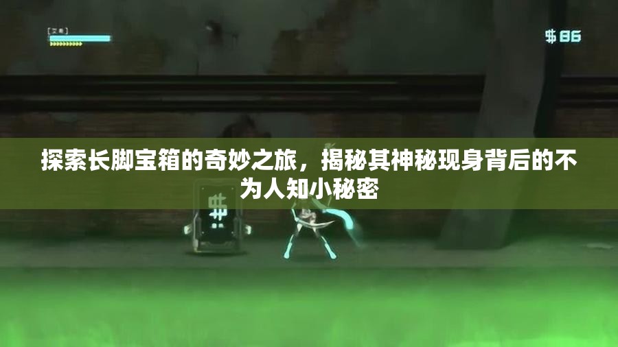 探索长脚宝箱的奇妙之旅，揭秘其神秘现身背后的不为人知小秘密