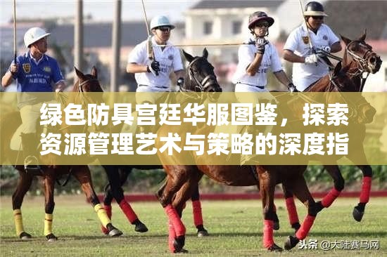 绿色防具宫廷华服图鉴，探索资源管理艺术与策略的深度指南