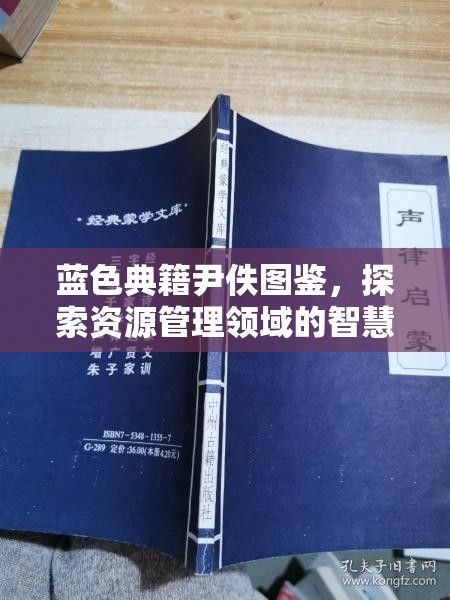 蓝色典籍尹佚图鉴，探索资源管理领域的智慧之光与实践指南