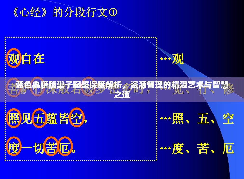 蓝色典籍随巢子图鉴深度解析，资源管理的精湛艺术与智慧之道