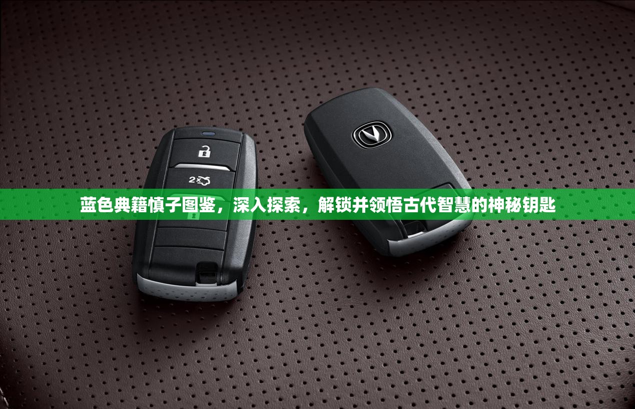 蓝色典籍慎子图鉴，深入探索，解锁并领悟古代智慧的神秘钥匙