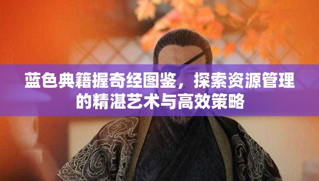 蓝色典籍握奇经图鉴，探索资源管理的精湛艺术与高效策略
