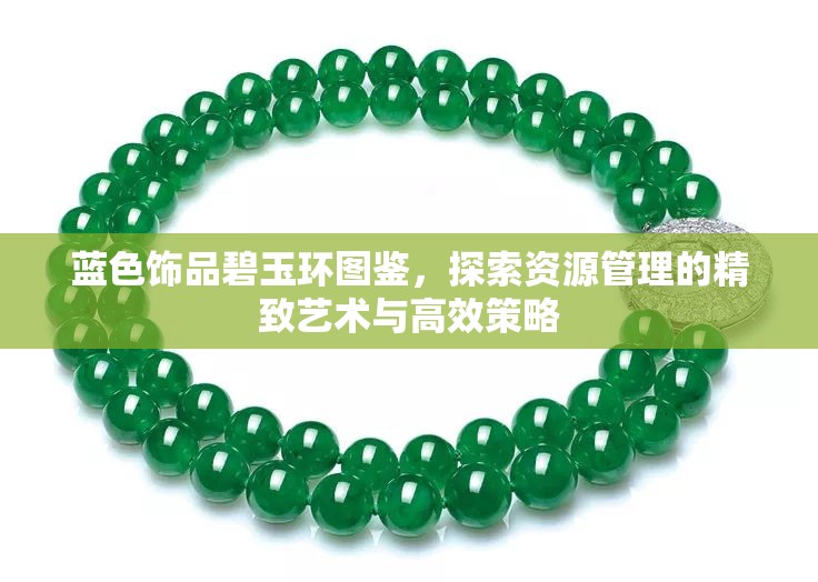 蓝色饰品碧玉环图鉴，探索资源管理的精致艺术与高效策略