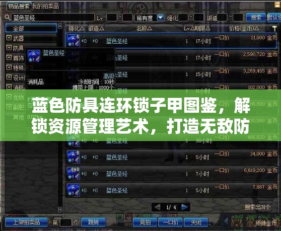 蓝色防具连环锁子甲图鉴，解锁资源管理艺术，打造无敌防御装备