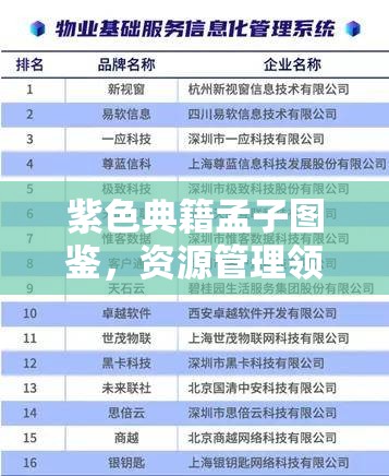 紫色典籍孟子图鉴，资源管理领域中的智慧瑰宝与策略指南