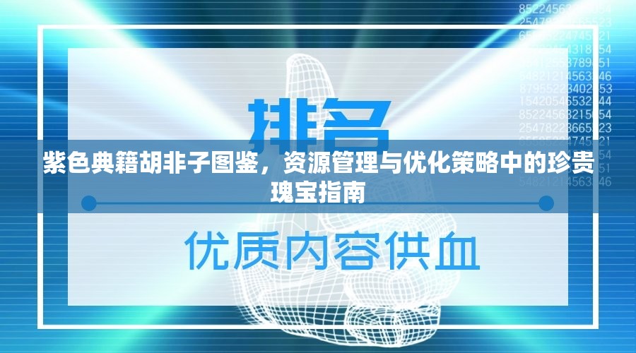 紫色典籍胡非子图鉴，资源管理与优化策略中的珍贵瑰宝指南