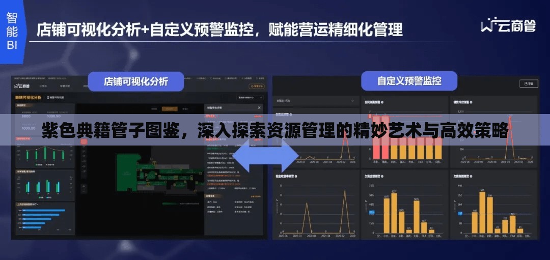 紫色典籍管子图鉴，深入探索资源管理的精妙艺术与高效策略