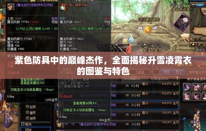 紫色防具中的巅峰杰作，全面揭秘升雪凌霄衣的图鉴与特色