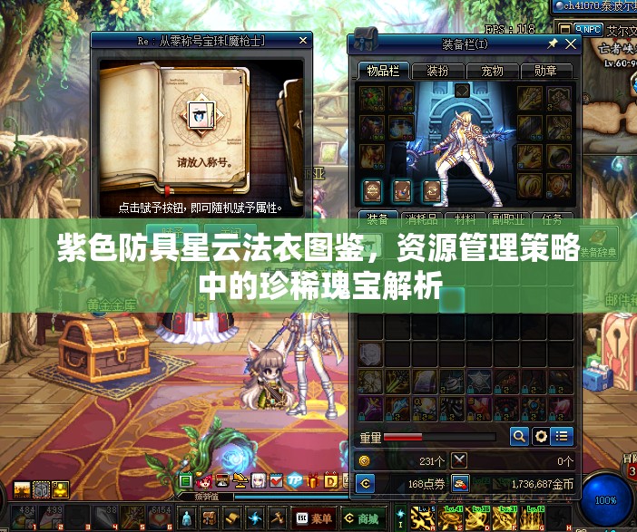 紫色防具星云法衣图鉴，资源管理策略中的珍稀瑰宝解析