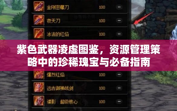 紫色武器凌虚图鉴，资源管理策略中的珍稀瑰宝与必备指南