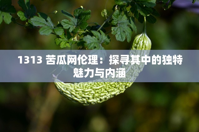 1313 苦瓜网伦理：探寻其中的独特魅力与内涵