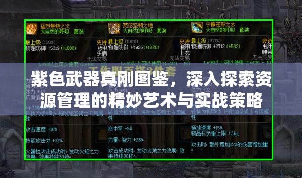 紫色武器真刚图鉴，深入探索资源管理的精妙艺术与实战策略