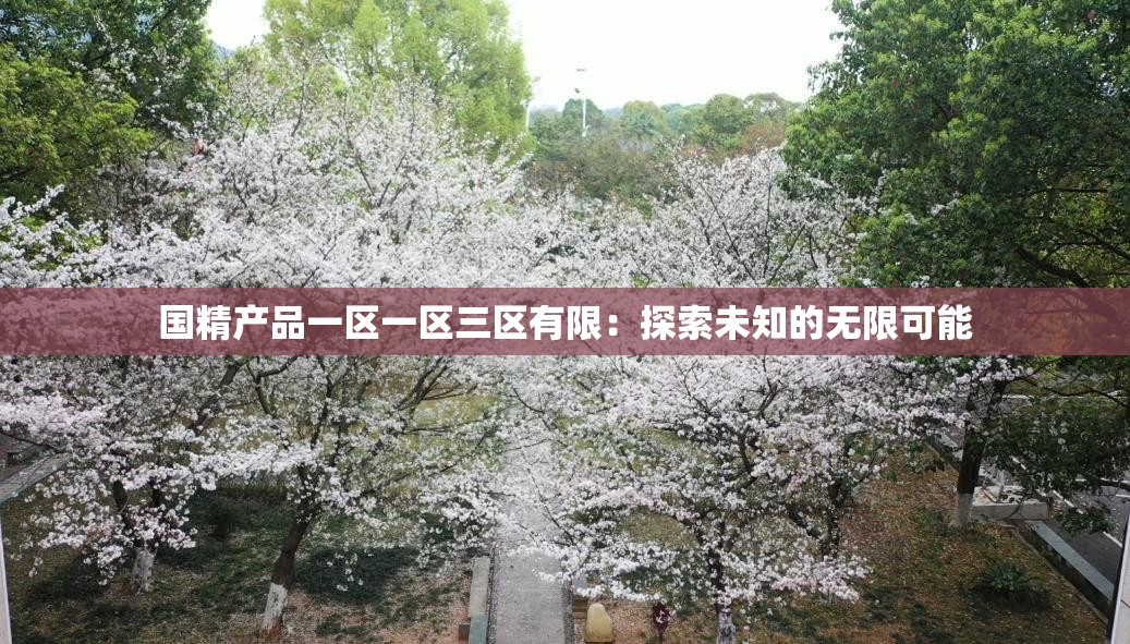 国精产品一区一区三区有限：探索未知的无限可能