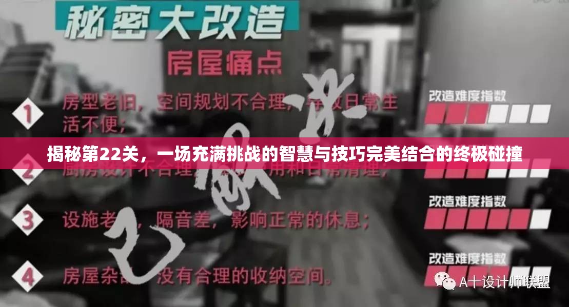 揭秘第22关，一场充满挑战的智慧与技巧完美结合的终极碰撞