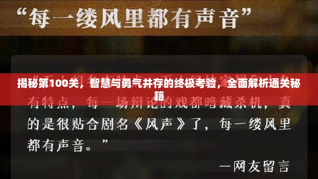 揭秘第100关，智慧与勇气并存的终极考验，全面解析通关秘籍