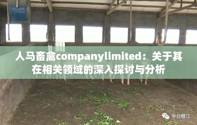 人马畜禽companylimited：关于其在相关领域的深入探讨与分析