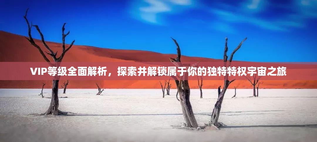 VIP等级全面解析，探索并解锁属于你的独特特权宇宙之旅