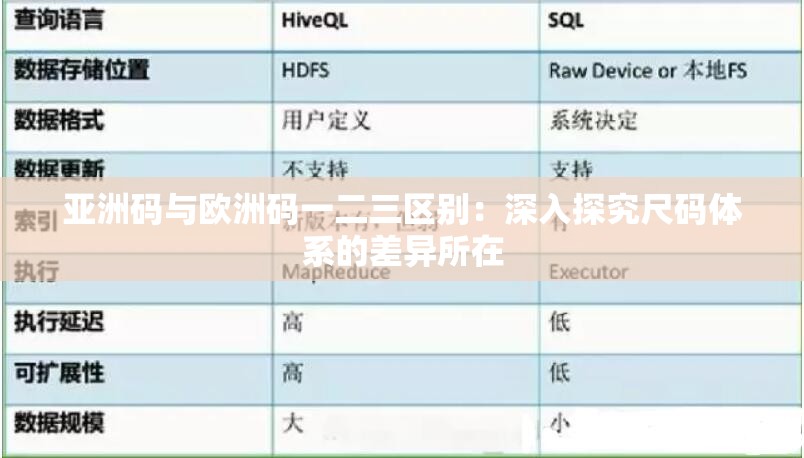 亚洲码与欧洲码一二三区别：深入探究尺码体系的差异所在