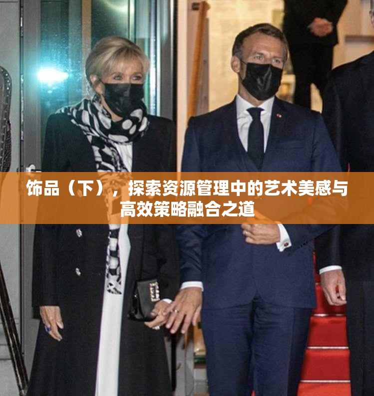 饰品（下），探索资源管理中的艺术美感与高效策略融合之道