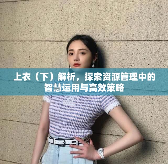 上衣（下）解析，探索资源管理中的智慧运用与高效策略