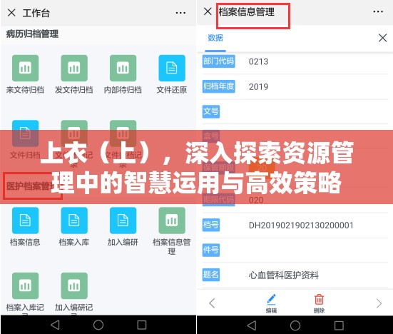 上衣（上），深入探索资源管理中的智慧运用与高效策略