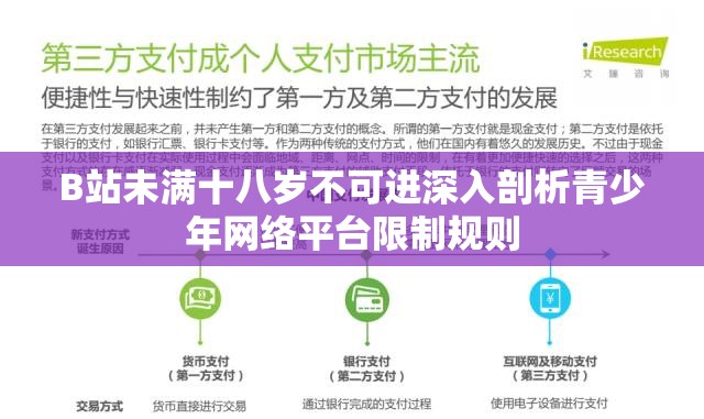B站未满十八岁不可进深入剖析青少年网络平台限制规则