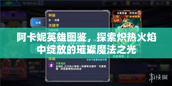 阿卡妮英雄图鉴，探索炽热火焰中绽放的璀璨魔法之光