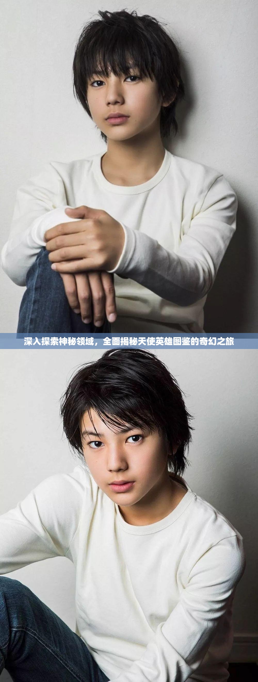 深入探索神秘领域，全面揭秘天使英雄图鉴的奇幻之旅