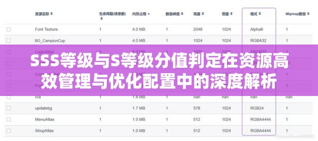 SSS等级与S等级分值判定在资源高效管理与优化配置中的深度解析