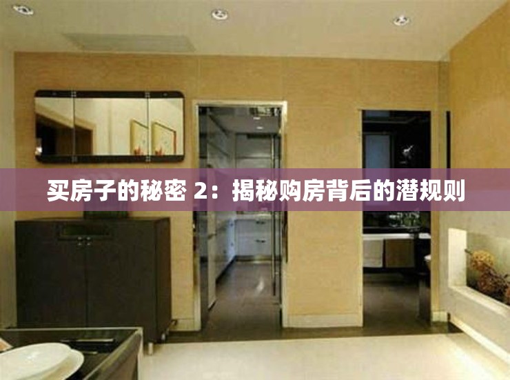 买房子的秘密 2：揭秘购房背后的潜规则