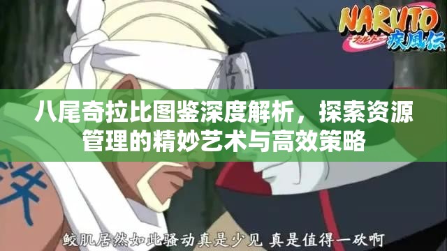 八尾奇拉比图鉴深度解析，探索资源管理的精妙艺术与高效策略