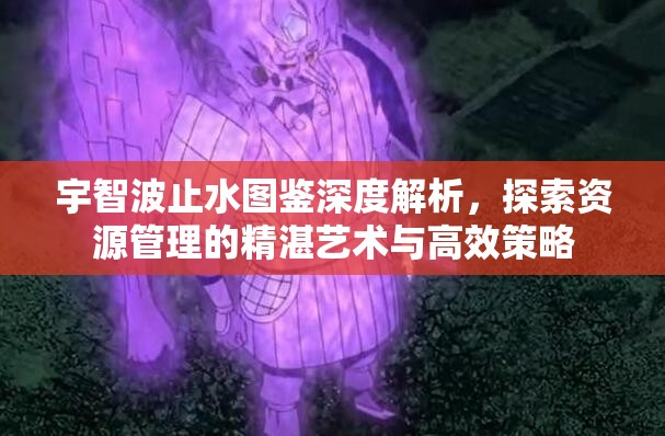 宇智波止水图鉴深度解析，探索资源管理的精湛艺术与高效策略