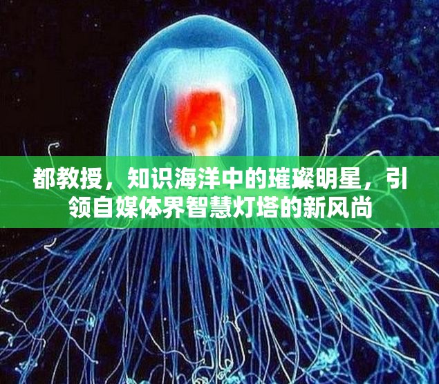 都教授，知识海洋中的璀璨明星，引领自媒体界智慧灯塔的新风尚