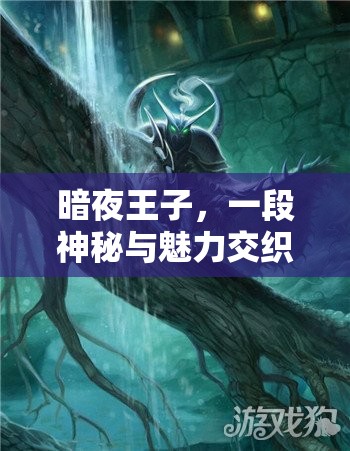 暗夜王子，一段神秘与魅力交织，引领传奇的非凡人生旅程